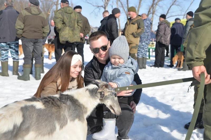 Более ста охотничьих собак представили на выставке в Жердевке