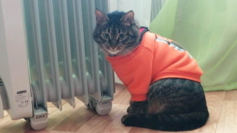 Увеличилось количество жалоб тамбовчан на горячие батареи