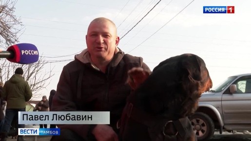 ���������� �������� �������� ���������� ������������ � ���������� � �������� ������ � ���� �������� ����� ���������� ���������� �� ���������