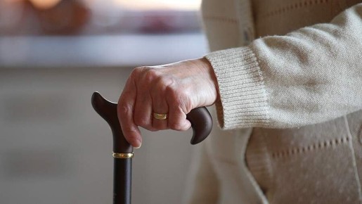 �������� � �� ������� �� ������������ ��������: ���������� ������ ������������