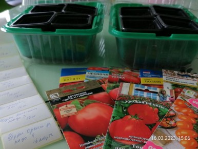 ������ � �������: ����� ����� � ����������� ������������