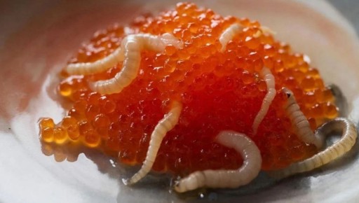 � ������ ����������� ����� ����� ��������� ������