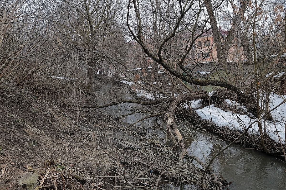 В Тамбове начинают расчистку участка реки Студенец, где пройдёт благоустройство В Тамбове начинают расчистку участка реки Студенец, где пройдёт благоустройство