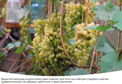 ��� ��������� �������� �������� ������: ������� ������ ��� ����������