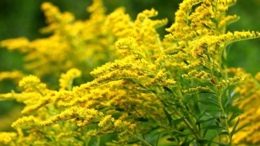 ��� ���������� � ������������ � �������� ���������� �����