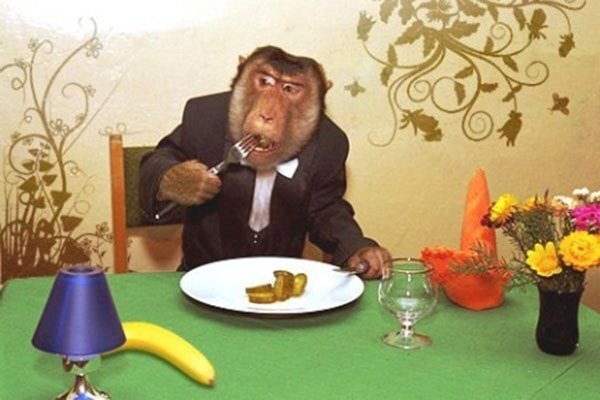 Как превратить животные удовольствия в человеческие радости