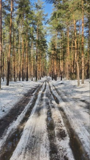 �������� ��� ���������. ���� �����