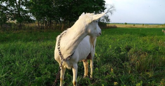 ��������� ������� ��� �� �������: ���� ����� ������������ ����������