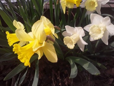 ��� ����� ����� ���� ����������� � ��������: ������� � ������ � ����� �������