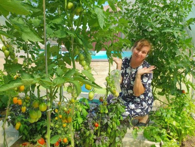 ��� ��������� ������� ����� ������� ������� � ������� ��� ������������� ������