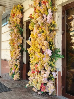 �������� ���: ��� ���������� ������ ������ ��������� ����������