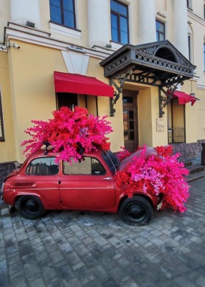 ��������������� ������� ��������� ���������� � �������