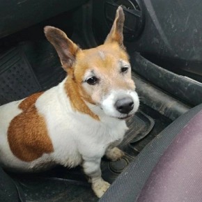 ���� �����: ������ ���� ������