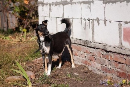 �������� �� ��������� ����� � ���� ������� ���������� �������