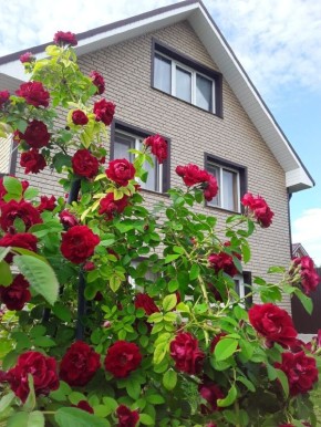 ������ �� ��� ����������� �����: ��� ������� ���������� �� ���� ������