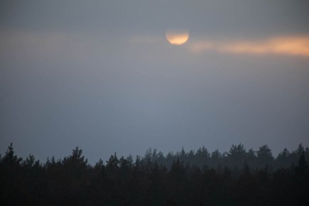 Хорошего вечера. ВК "Природа Тамбова"