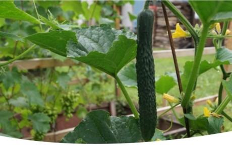 ��� ������� ��������� ����� ������� ��� ������ �������