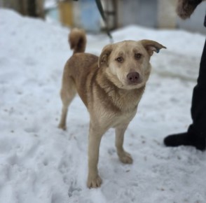 ���� �����: ������ ���� ���