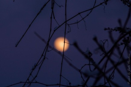 Главное в ТОПе за 26 марта