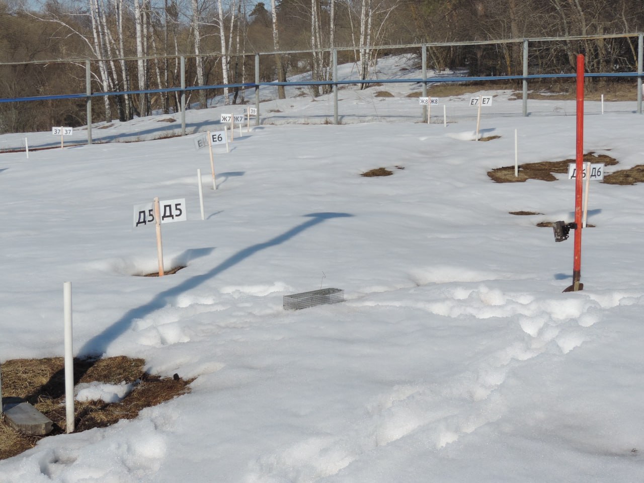 В Воронинском заповеднике проснулся первый крапчатый суслик В Воронинском заповеднике проснулся первый крапчатый суслик