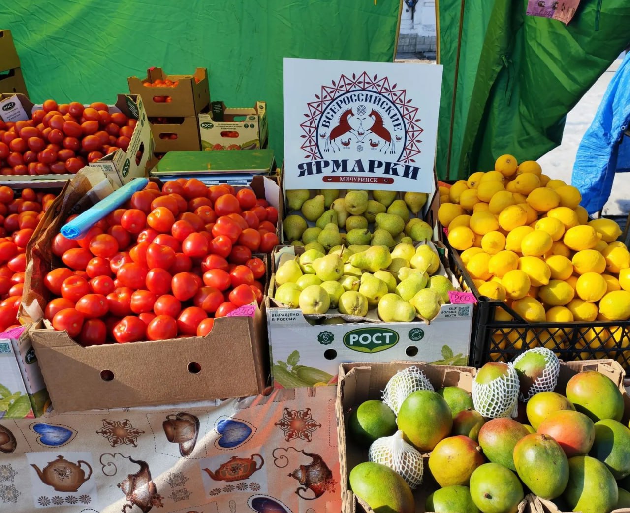 В Тамбовской области прошла первая весенняя ярмарка