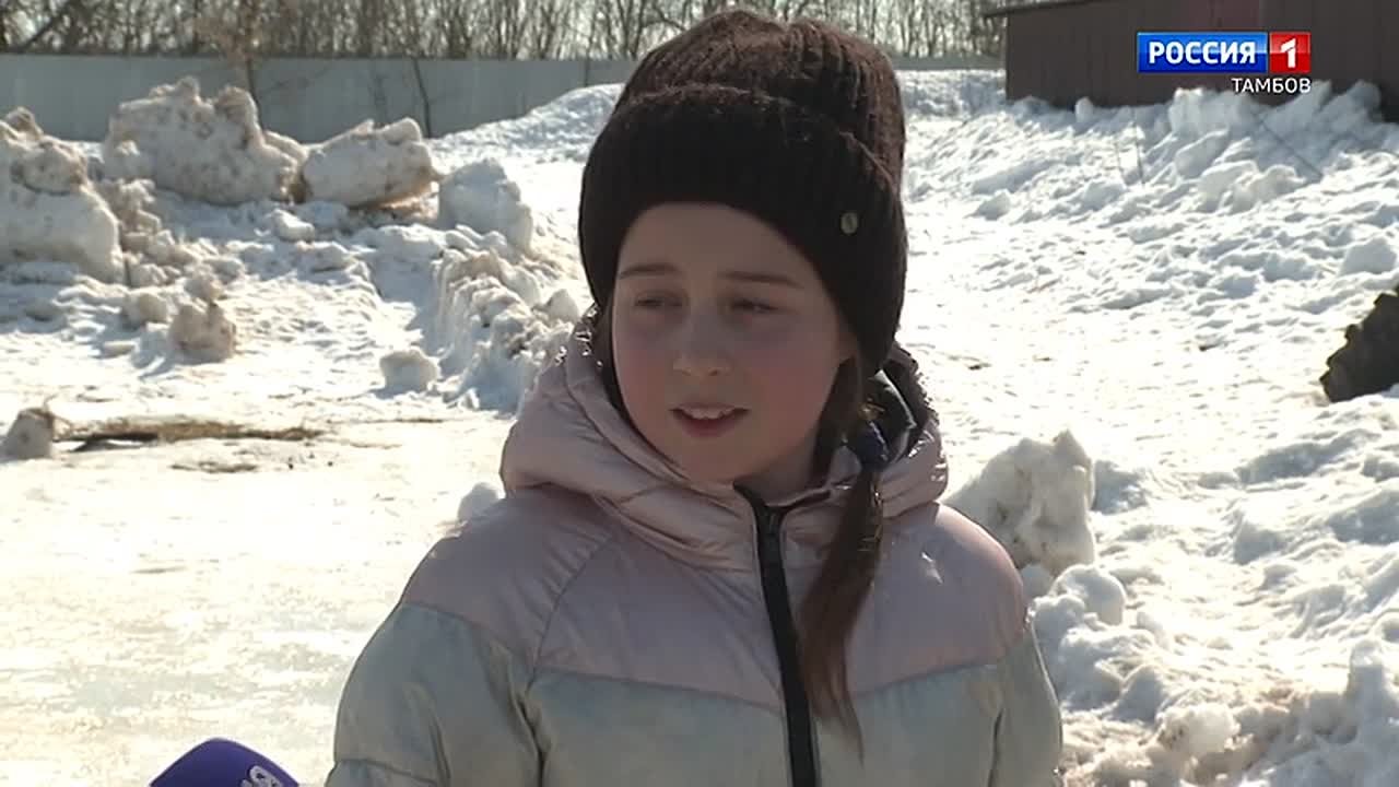 Главный герой нашего очередного выпуска рубрики «Путь домой» - собачка по имени Кели