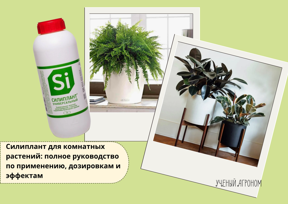 Препарат не для роста, а для укрепления комнатных растений в зимний период