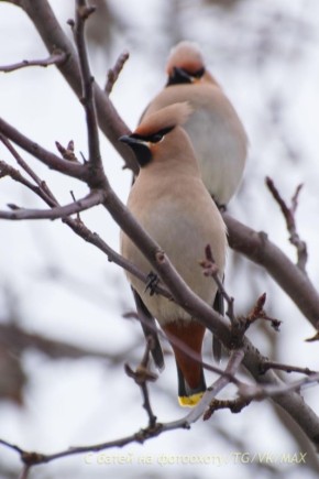 ���������� �� ���������� ���������