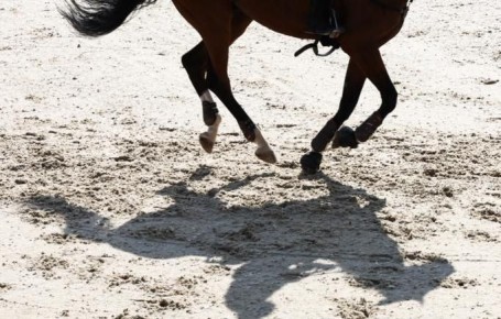 Девять российских всадниц получили нейтральный статус за последний месяц