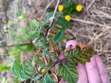 �������� �� �������: ��� �������� �������� � ��������� ������