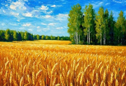 Замминистра сельского хозяйства региона привел цифры прогноза посевной кампании