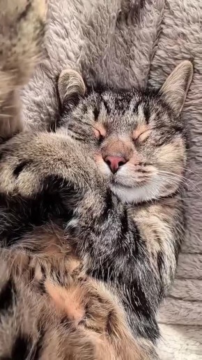 ��������� ����������