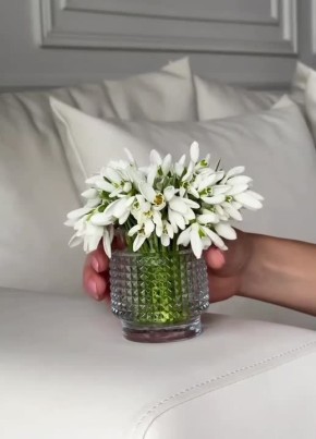 Вместо вечерней медитации