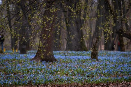 �������� ������. �� "������� �������"