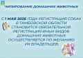 С 1 мая 2026 года в Тамбовской области вводится обязательная регистрация и чипирование собак