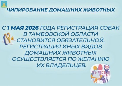 С 1 мая 2026 года в Тамбовской области вводится обязательная регистрация и чипирование собак