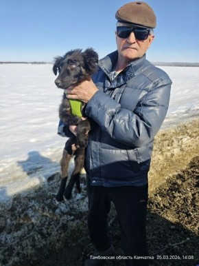 ������� "������ �� ����". ������� ����� ����� ����� � ������ ���������