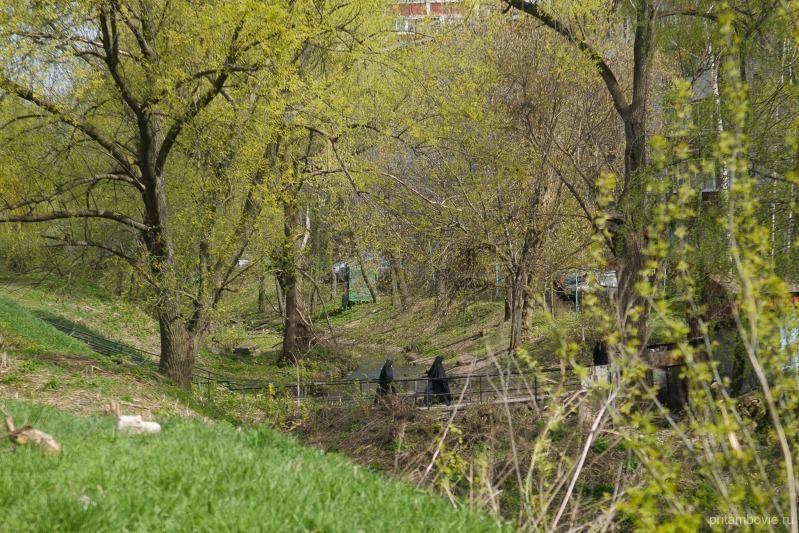 Экотропу и детскую крепость обустроят на набережной Студенца