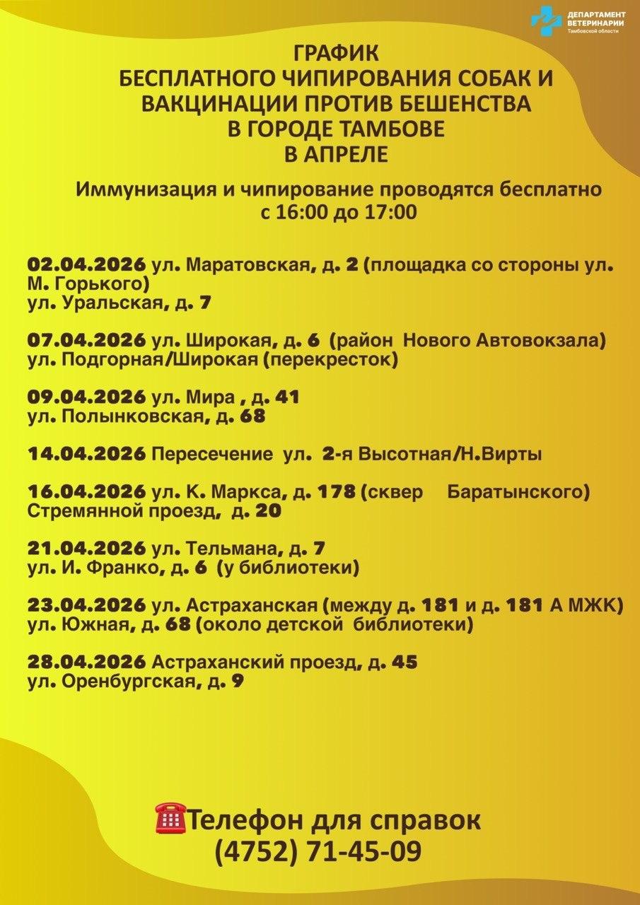 Опубликован график чипирования собак в апреле