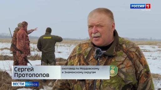 В Тамбовской области дали старт сезону охоты на гуся
