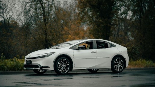 Что делать, если на ваш автомобиль упало дерево