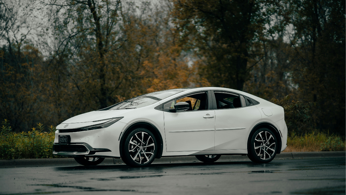 Что делать, если на ваш автомобиль упало дерево