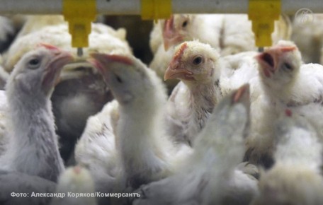 Тамбовский поставщик зерна снова требует долги с ГАП «Ресурс»