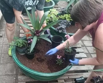 Цветочный наряд для Тамбова: в теплицах Зеленхоза кипит работа