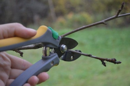 ��� �������� ���������������� ������ ��� �������� ������� �������� ��������