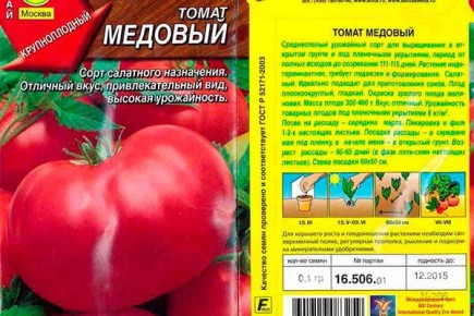 ����� �������: ������� ���� � ������� ��������� �����������