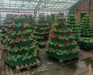 ��� �������� ������� � ������� ������� �� ������ �������