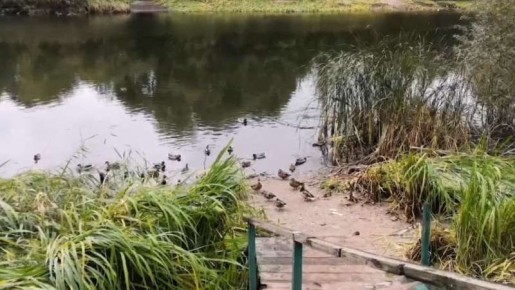 � ������� ��������� ��� 1,2 ��������� ����� ��� � ���� ����