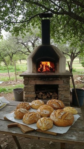 ������ ������� ���� � ������ �������� � ����� � 2025 ����?