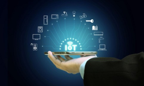 Единые правила для цифровой среды: как депутаты планируют защитить пользователей